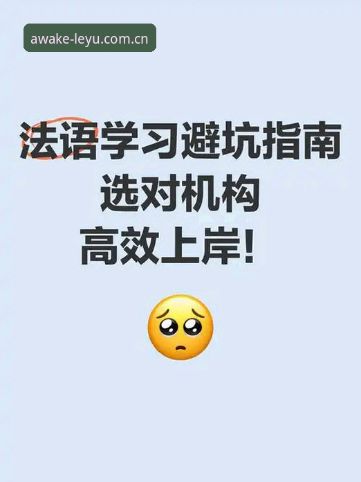 资深用户分享LEYU中国官网下载实战经验：从版本更新到数据查询的避坑指南